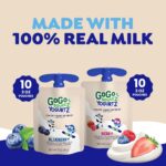 GoGo squeeZ Low Fat YogurtZ Variety Pack - Image 4