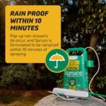 Spruce Weed Killer Refill for Spray Weed & Grass Killer - Image 2