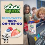 GoGo squeeZ Low Fat YogurtZ Variety Pack - Image 3