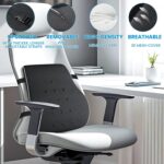 Lumbar Support Pillow for Office Chair - Image 2