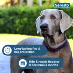 Seresto Flea & Tick Collar For Dogs Over 18 lbs - Image 3