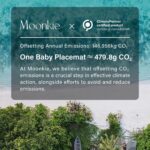 Moonkie Silicone Placemats for Baby & Kid - Image 6